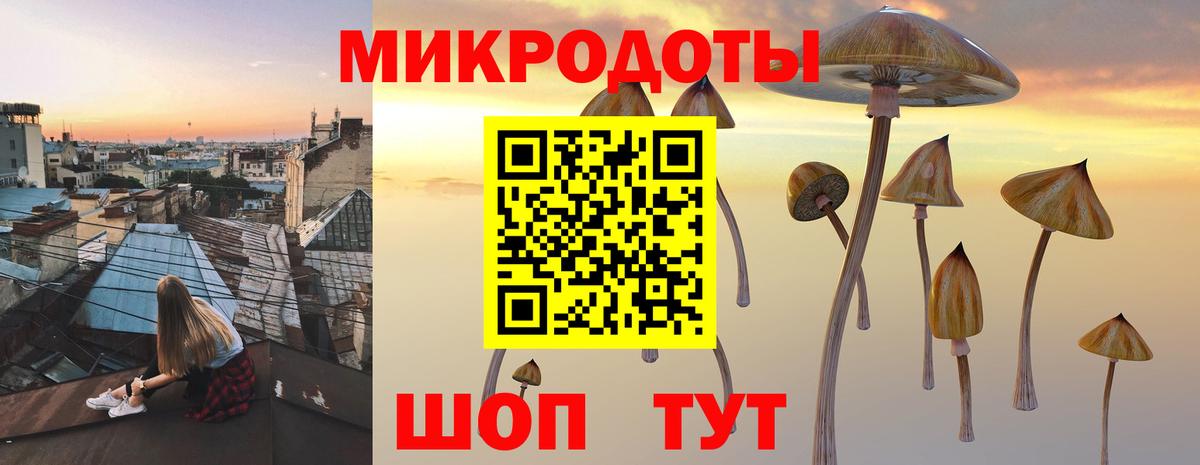 Муравленко  Псилоцибиновые грибы Cubensis  Вход с VPN  Галлюциногенные грибы Cubensis 